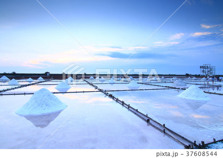 塩田 純白 白雪姫 37608544