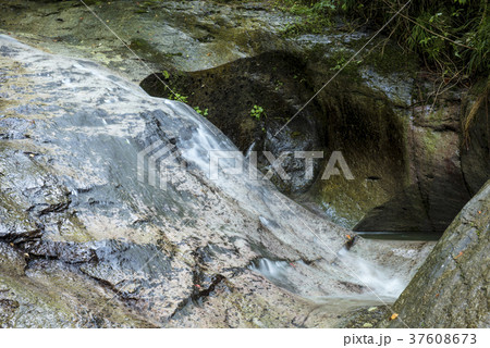 鹿ヶ壺の甌穴 (兵庫県姫路市安富町) 鹿ヶ壺の甌穴 (兵庫県姫路市安富町) 37608673