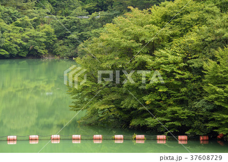 安富ダム　（兵庫県姫路市安富町） 37608729