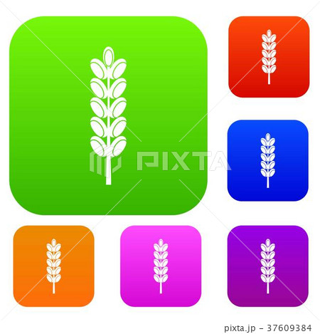 Field spike set color collection 37609384