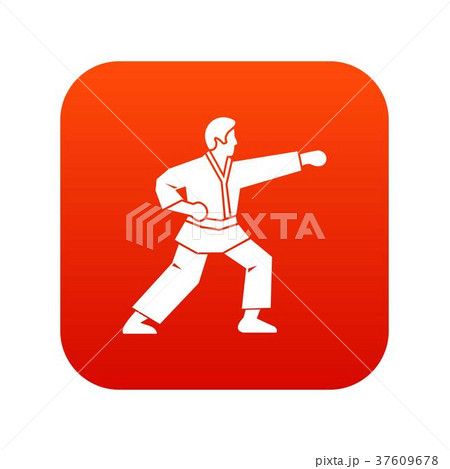 Aikido fighter icon digital red 37609678