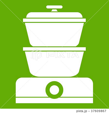Steamer icon green 37609867
