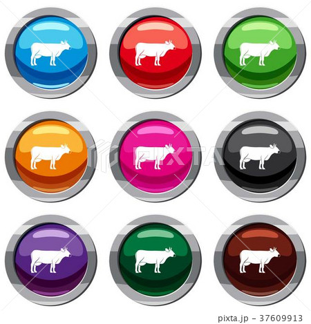 Cow set 9 collection 37609913