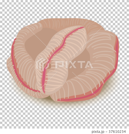 Sea sponge icon, cartoon style - Stock Illustration [37610234] - PIXTA