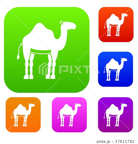 Camel set color collection 37611782
