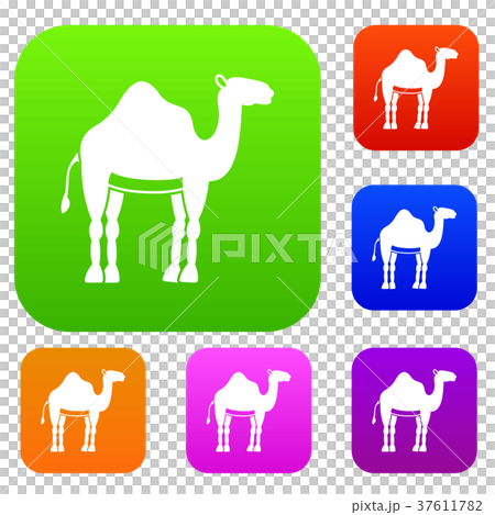 Camel set color collection 37611782