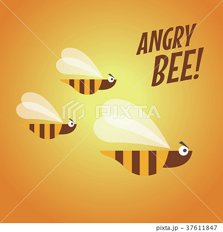 Angry bee flat design 37611847