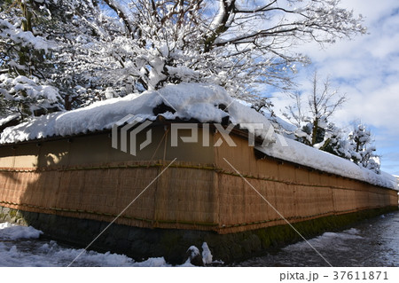 長町武家屋敷跡　土塀　こも掛けの雪景色　金沢 37611871