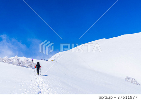 雪山を登る登山者 雪山を登る登山者 37611977