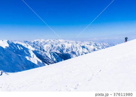 冬山を登る登山者 冬山を登る登山者 37611980