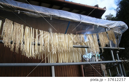 軒しのぶ 切り干し大根を干すの写真素材
