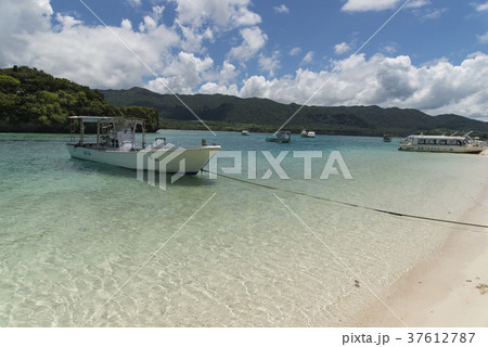 川平湾（沖縄県石垣島） 37612787