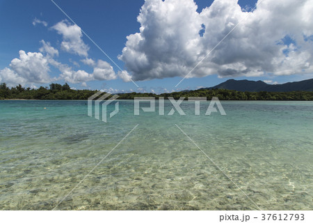 川平湾(沖縄県石垣島) 川平湾(沖縄県石垣島) 37612793