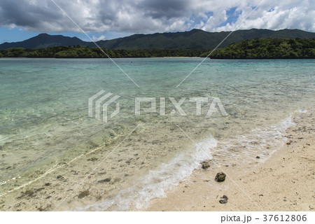 川平湾(沖縄県石垣島) 川平湾(沖縄県石垣島) 37612806