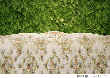 classic sofa with green fern background classic sofa with green fern background 37613279