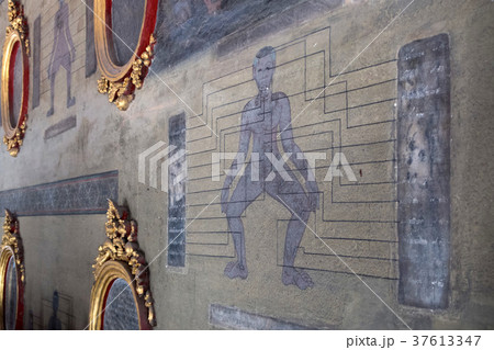 ワット・ポーの壁画 37613347