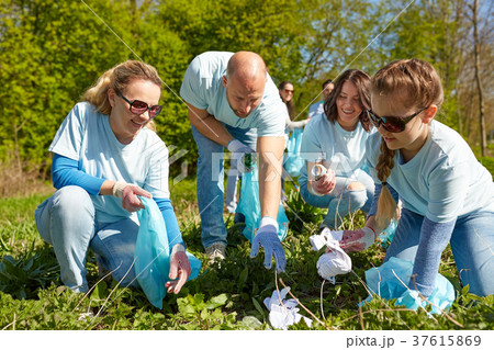 volunteers with garbage bags cleaning park area volunteers with garbage bags cleaning park area 37615869