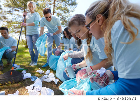 volunteers with garbage bags cleaning park area volunteers with garbage bags cleaning park area 37615871