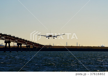 海上の誘導灯と西日に輝く着陸態勢の旅客機　c-2 ウィングレット無し 海面広め　明るめ 37616802