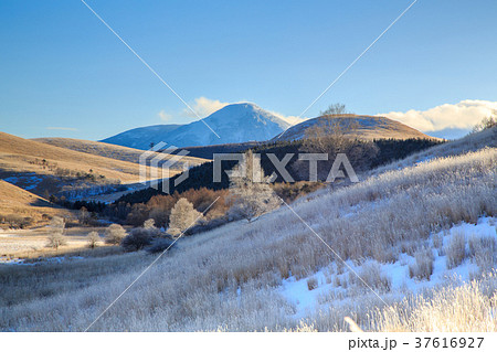 霧ケ峰高原霧氷 37616927
