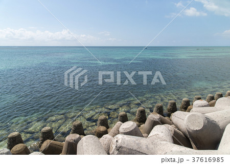 南の浜町緑地公園から見る海（石垣島） 37616985