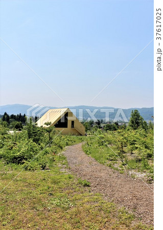 春の八海山山麓（雪国の春イメージ） 37617025