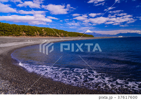 （静岡県）三保の松原と富士山 37617600