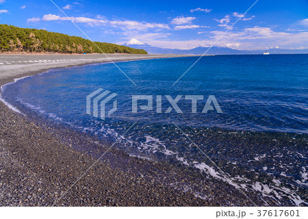 （静岡県）三保の松原と富士山 37617601