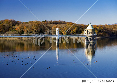 紅葉の狭山湖 湖面に映る青空と紅葉と山口貯水池の取水塔の写真素材