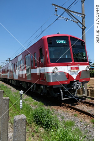 流鉄流山線あかぎ号、小金城趾駅~幸谷駅 流鉄流山線あかぎ号、小金城趾駅~幸谷駅 37619440
