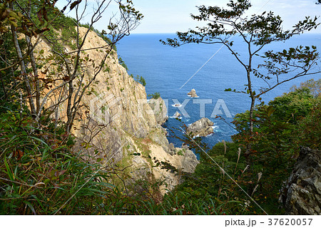 三陸ジオパーク 北山崎 三陸ジオパーク 北山崎 37620057