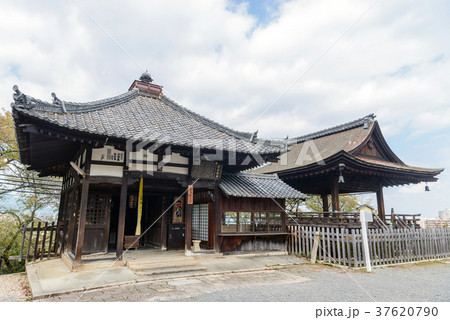 三井寺観音堂  観月舞台と百体堂 37620790