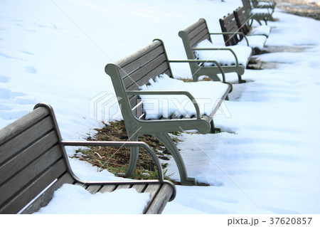積雪のベンチ 37620857