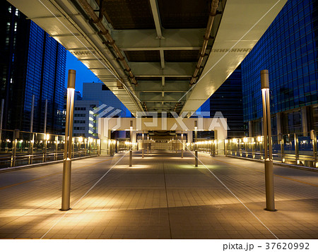 汐留　夜景 37620992