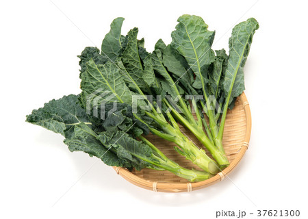 アレッタ 37621300