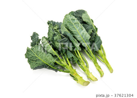 アレッタ 37621304