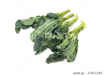 アレッタ 37621305