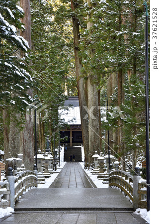 高野山 奥の院 御廟橋(和歌山県伊都郡高野町) 高野山 奥の院 御廟橋(和歌山県伊都郡高野町) 37621528