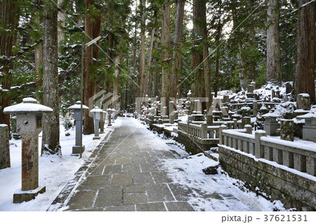 高野山 奥の院 参道(和歌山県伊都郡高野町) 高野山 奥の院 参道(和歌山県伊都郡高野町) 37621531
