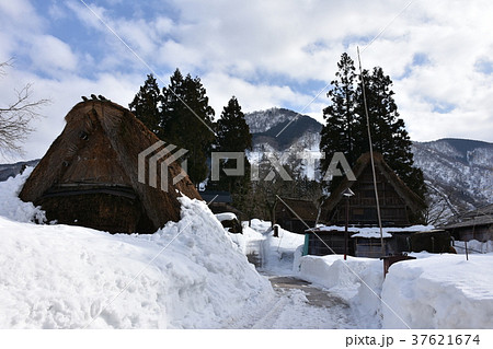 世界遺産 五箇山 相倉合掌造り集落 雪景色 世界遺産 五箇山 相倉合掌造り集落 雪景色 37621674
