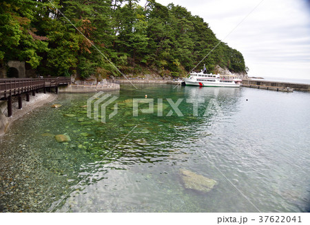 三陸復興国立公園 みやこ浄土ヶ浜遊覧船 37622041