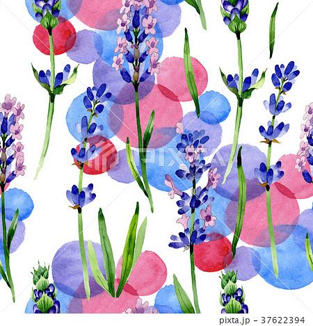 Wildflower lavender flower pattern in a watercolor 37622394