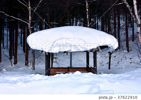 雪を被った東屋 37622910