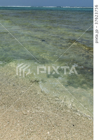 黒島の海岸風景（沖縄県） 37623756