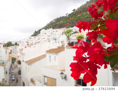 白い村ミハスの町並み 白い村ミハスの町並み 37623894