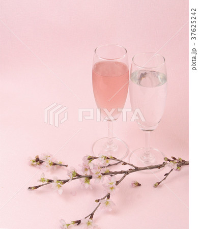 春のお祝いの桜と紅白ワイン 37625242