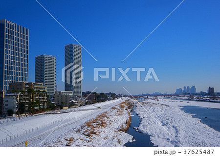 雪の二子玉川 37625487