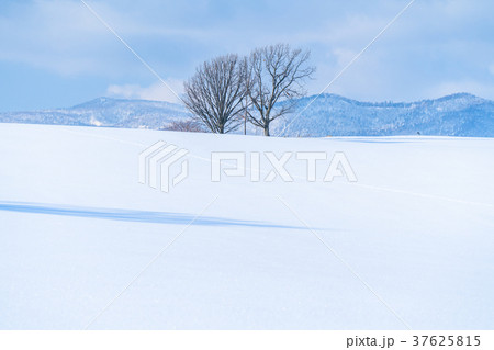 《北海道》美瑛の丘・雪原の大地 《北海道》美瑛の丘・雪原の大地 37625815