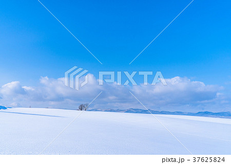 《北海道》美瑛の丘・雪原の大地 《北海道》美瑛の丘・雪原の大地 37625824
