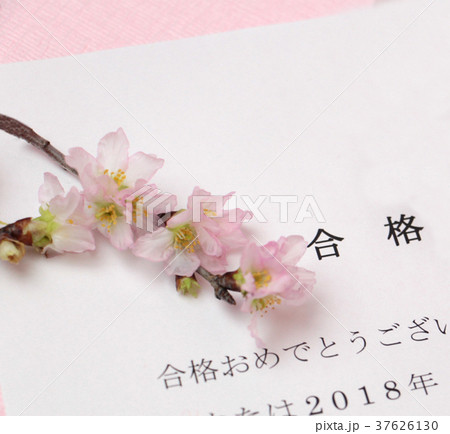 お祝いの通知 37626130